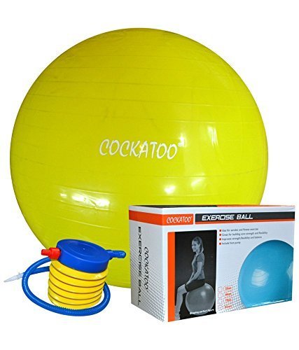 Anti-Burst Gym Ball ( 55 Cm to 95 Cm) with Foot Pump, Exercise Ball