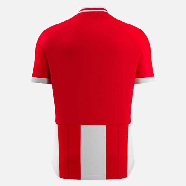 Propus Eco Jersey tshirt  and  SHEN ECO short - Image 6